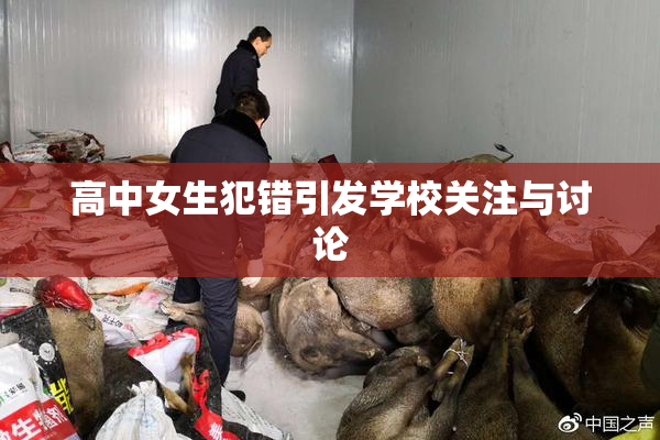 高中女生犯错引发学校关注与讨论
