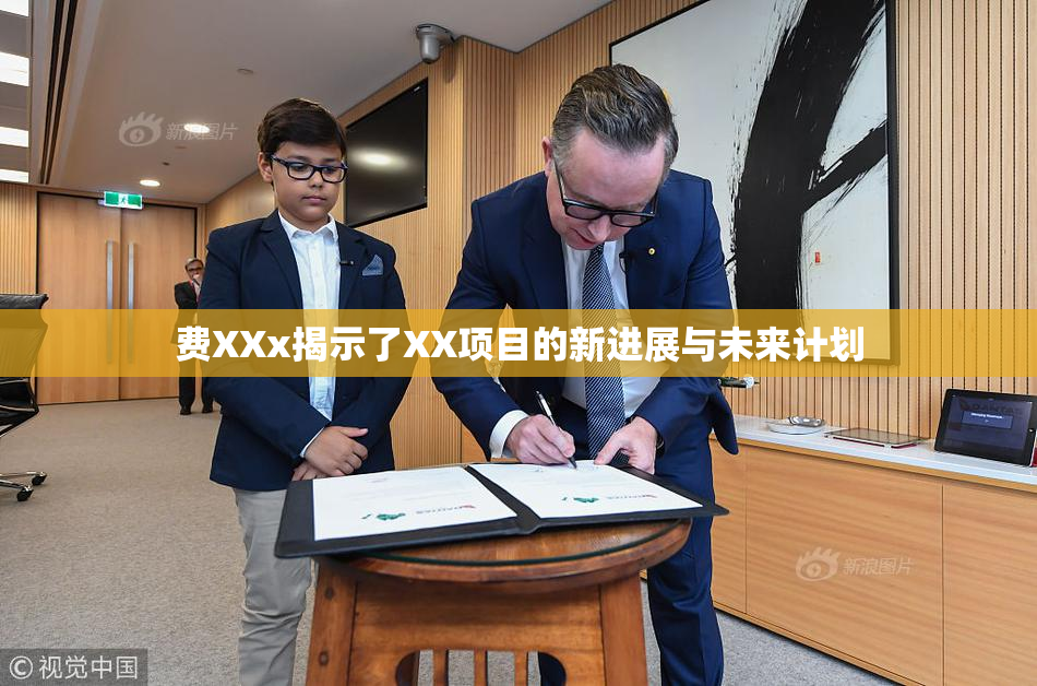 费XXx揭示了XX项目的新进展与未来计划