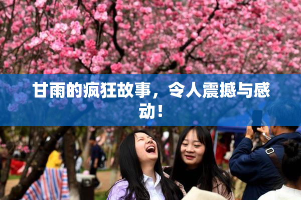 甘雨的疯狂故事，令人震撼与感动！
