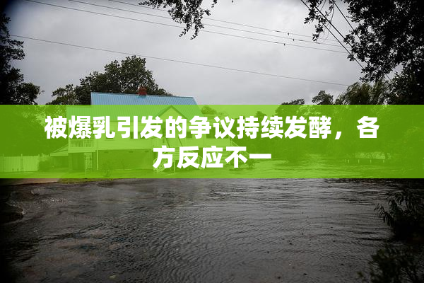 被爆乳引发的争议持续发酵，各方反应不一