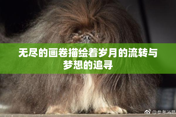 无尽的画卷描绘着岁月的流转与梦想的追寻