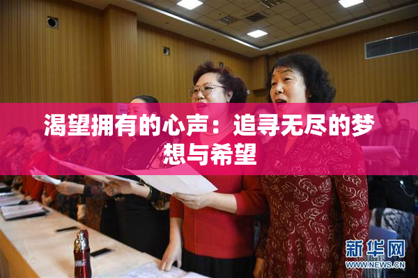渴望拥有的心声：追寻无尽的梦想与希望