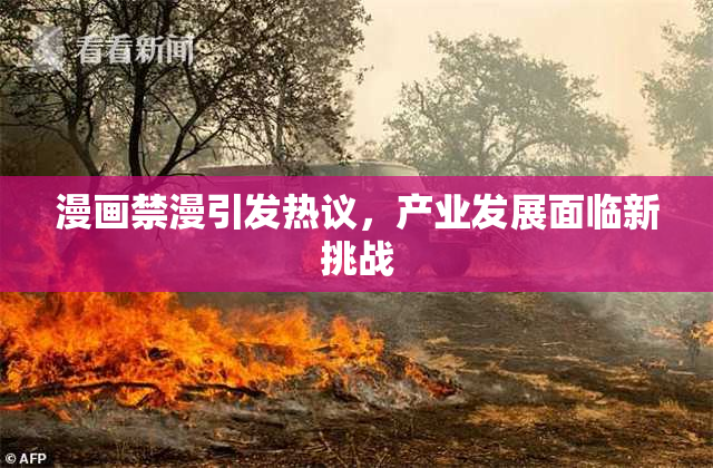 漫画禁漫引发热议，产业发展面临新挑战