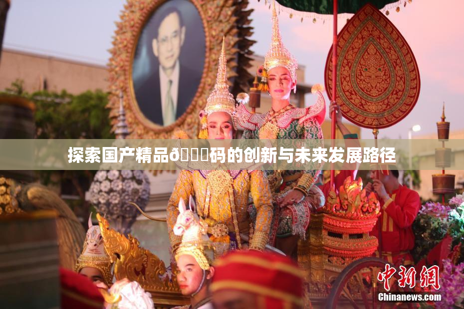 探索国产精品🈚码的创新与未来发展路径
