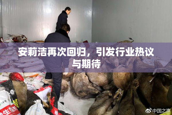 安莉洁再次回归，引发行业热议与期待