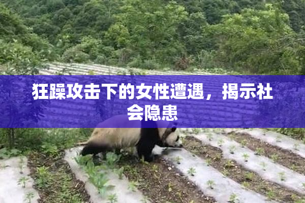 狂躁攻击下的女性遭遇，揭示社会隐患
