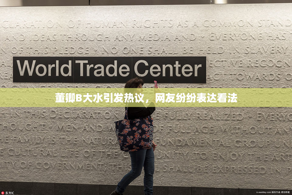 董卿B大水引发热议，网友纷纷表达看法