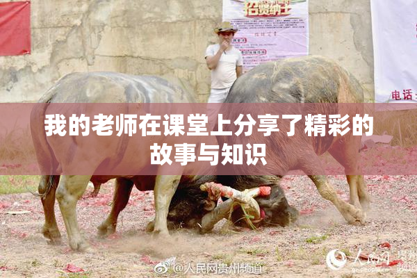 我的老师在课堂上分享了精彩的故事与知识