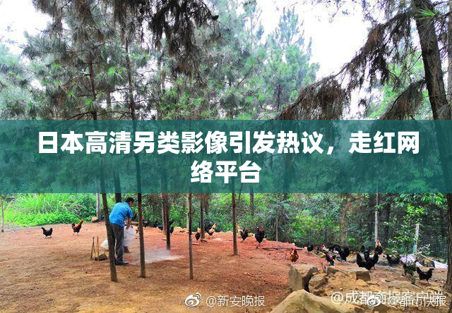 日本高清另类影像引发热议，走红网络平台
