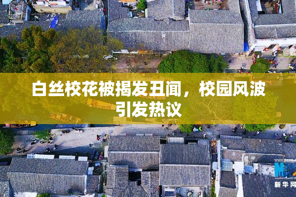 白丝校花被揭发丑闻，校园风波引发热议