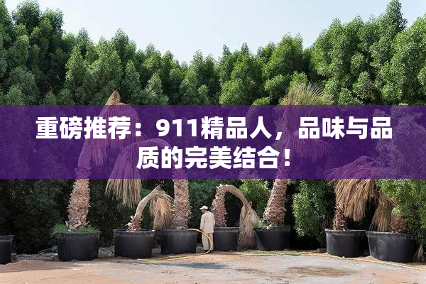 重磅推荐：911精品人，品味与品质的完美结合！