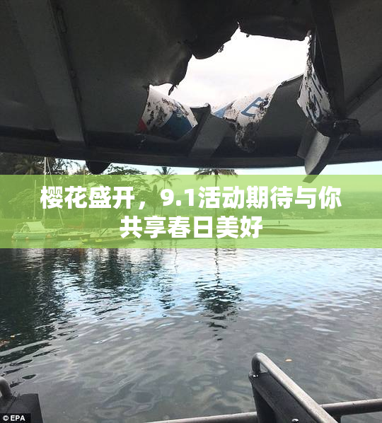 樱花盛开，9.1活动期待与你共享春日美好