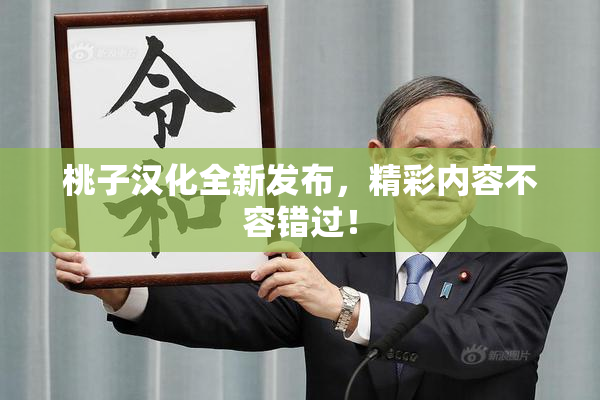 桃子汉化全新发布，精彩内容不容错过！