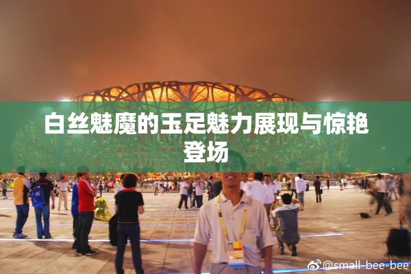 白丝魅魔的玉足魅力展现与惊艳登场