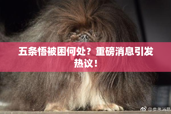 五条悟被困何处？重磅消息引发热议！