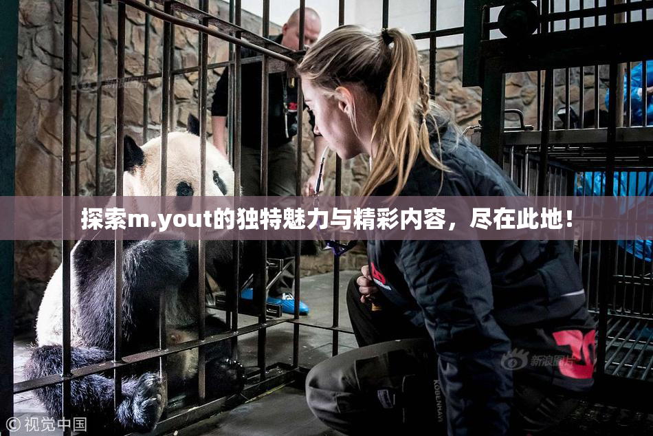 探索m.yout的独特魅力与精彩内容，尽在此地！