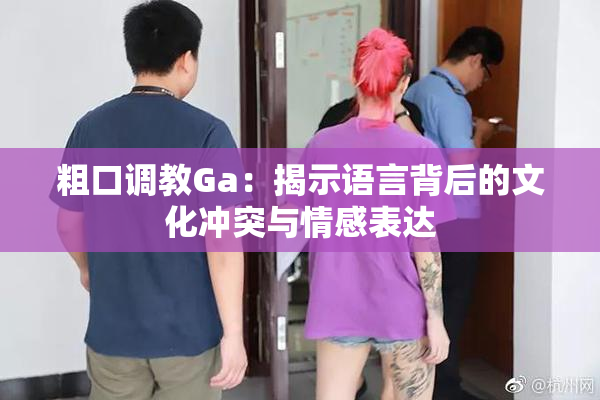 粗口调教Ga：揭示语言背后的文化冲突与情感表达