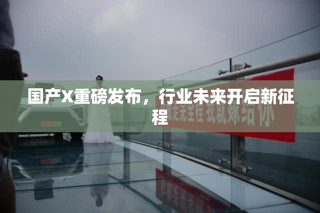 国产X重磅发布，行业未来开启新征程