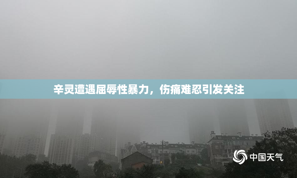 辛灵遭遇屈辱性暴力，伤痛难忍引发关注