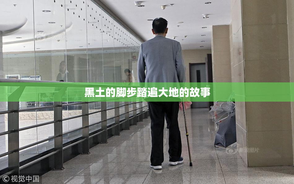 黑土的脚步踏遍大地的故事