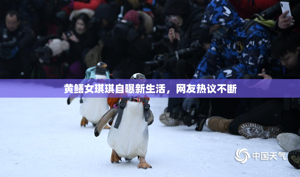 黄鳝女琪琪自曝新生活，网友热议不断