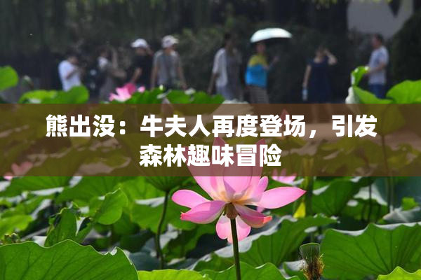 熊出没：牛夫人再度登场，引发森林趣味冒险