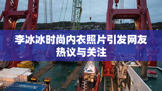 李冰冰时尚内衣照片引发网友热议与关注