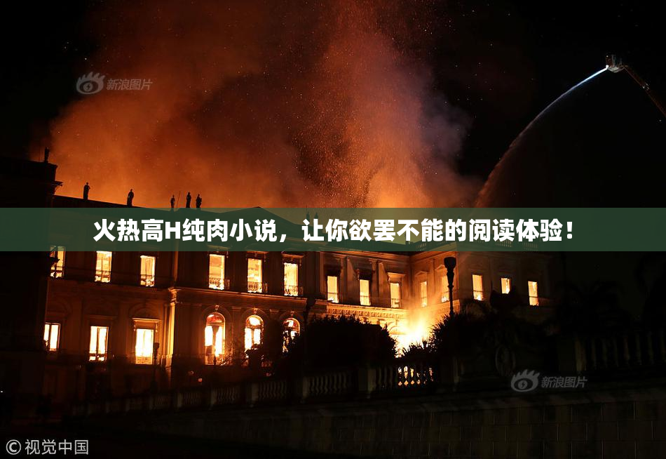 火热高H纯肉小说，让你欲罢不能的阅读体验！