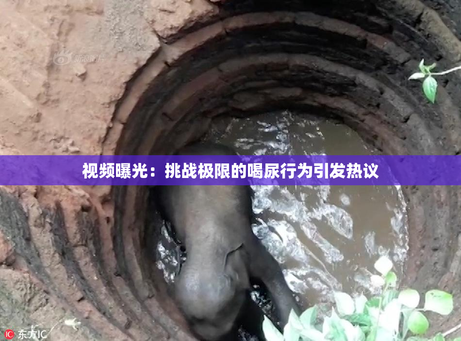 视频曝光：挑战极限的喝尿行为引发热议