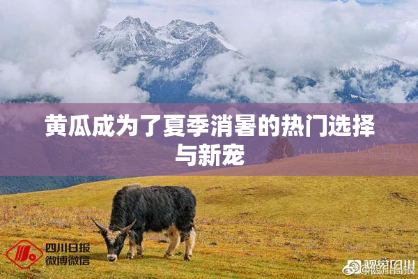 黄瓜成为了夏季消暑的热门选择与新宠