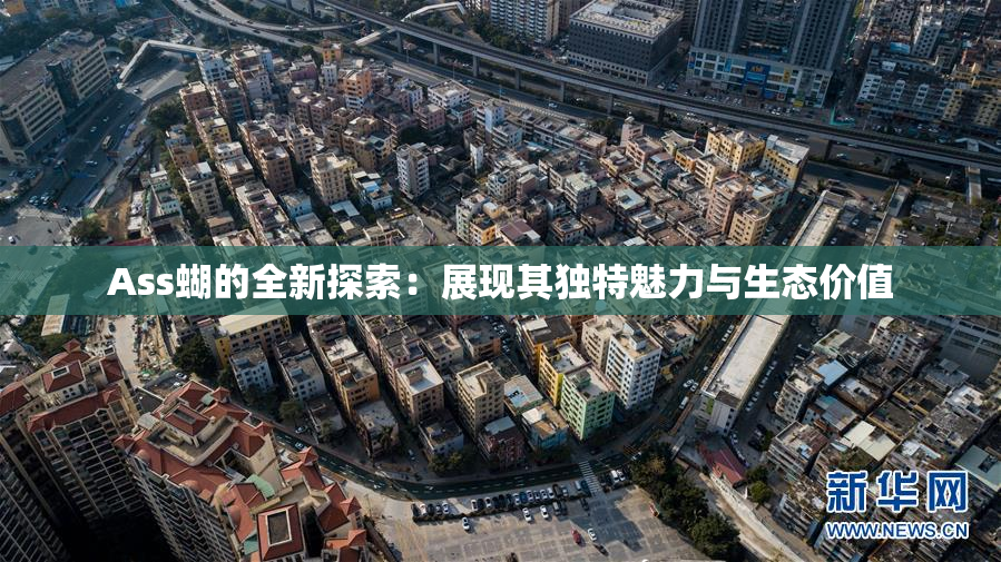 Ass蝴的全新探索：展现其独特魅力与生态价值