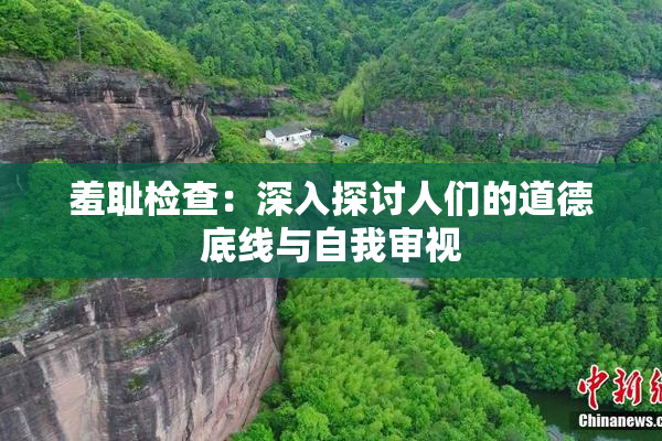 羞耻检查：深入探讨人们的道德底线与自我审视