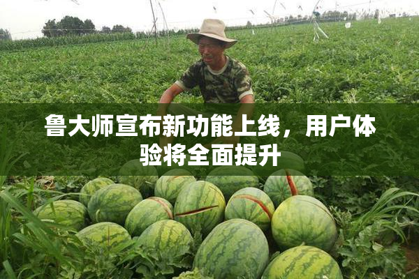 鲁大师宣布新功能上线，用户体验将全面提升