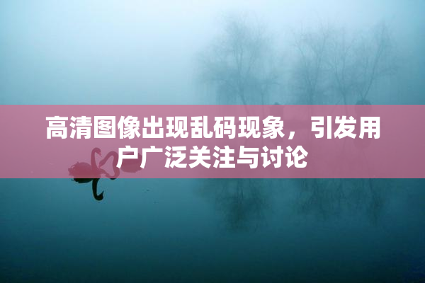 高清图像出现乱码现象，引发用户广泛关注与讨论