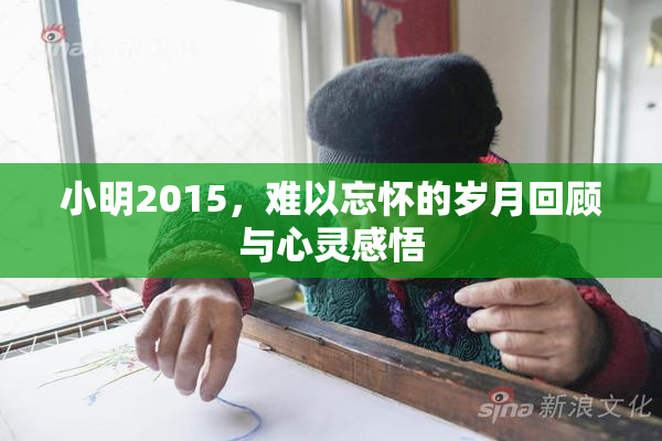 小明2015，难以忘怀的岁月回顾与心灵感悟
