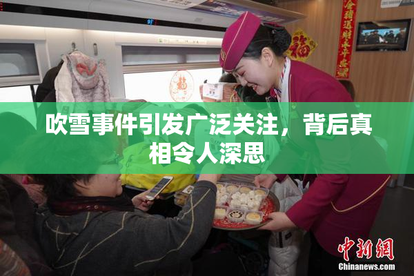 吹雪事件引发广泛关注，背后真相令人深思