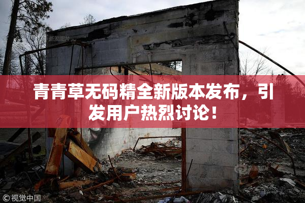 青青草无码精全新版本发布，引发用户热烈讨论！