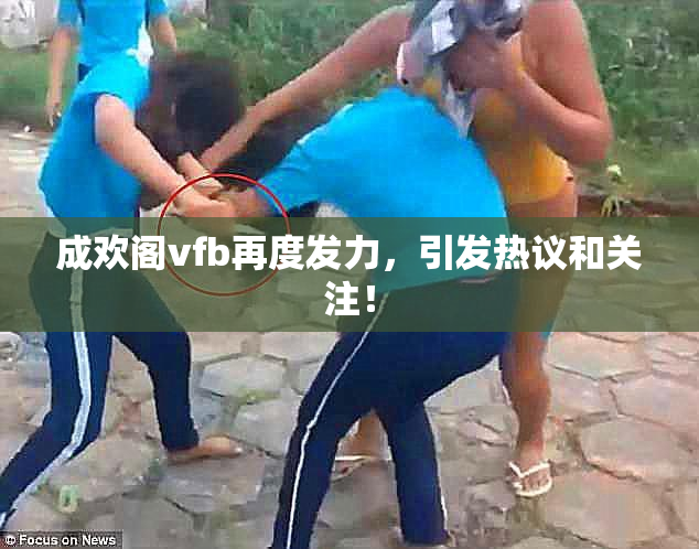 成欢阁vfb再度发力，引发热议和关注！