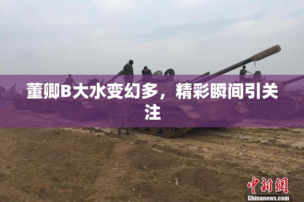 董卿B大水变幻多，精彩瞬间引关注