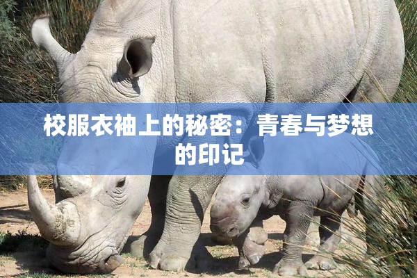 校服衣袖上的秘密：青春与梦想的印记