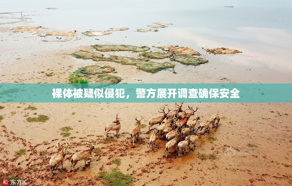 裸体被疑似侵犯，警方展开调查确保安全