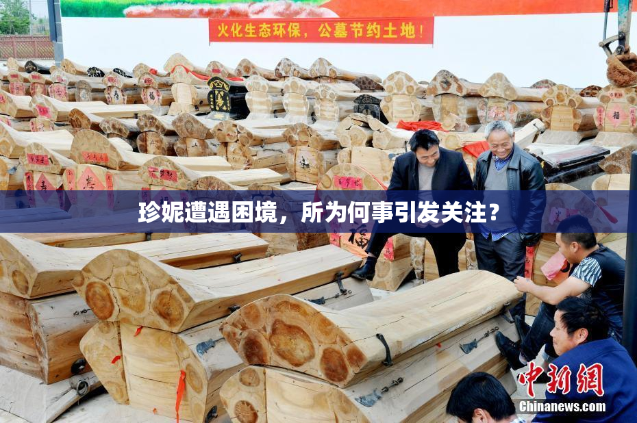珍妮遭遇困境，所为何事引发关注？