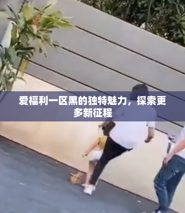 爱福利一区黑的独特魅力，探索更多新征程