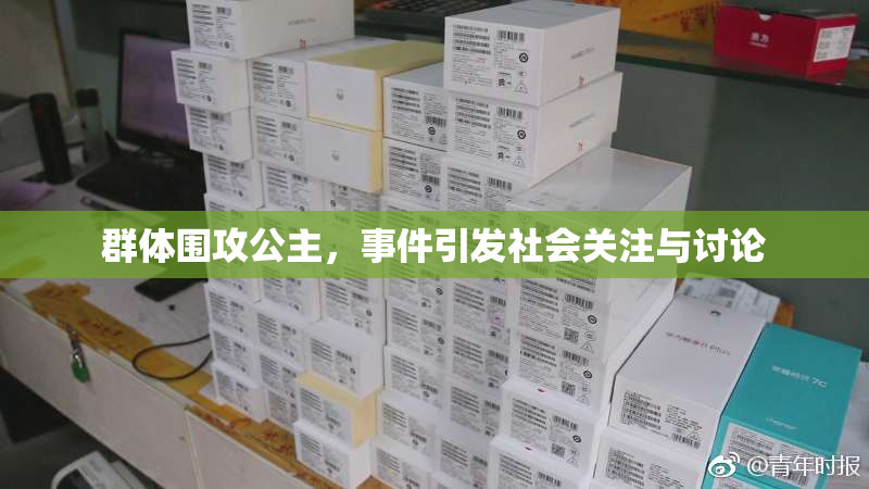 群体围攻公主，事件引发社会关注与讨论