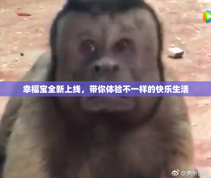 幸福宝全新上线，带你体验不一样的快乐生活