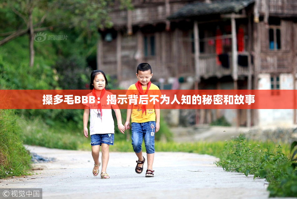 搡多毛BBB：揭示背后不为人知的秘密和故事