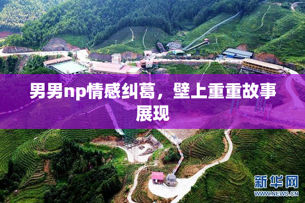 男男np情感纠葛，壁上重重故事展现
