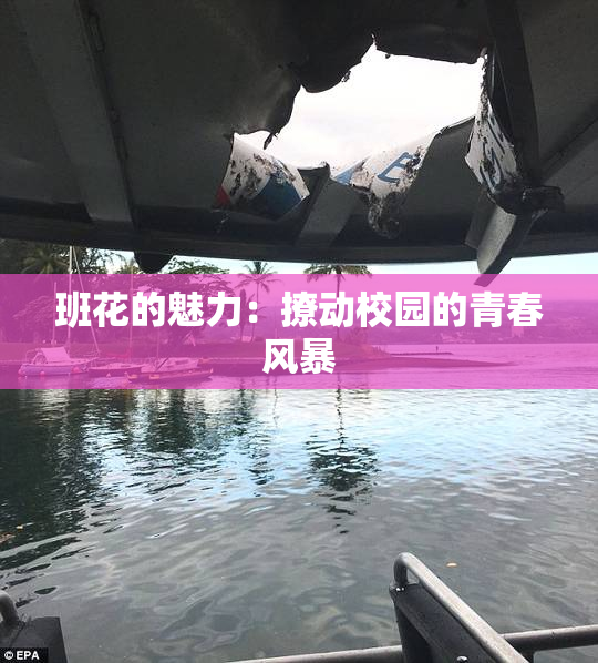 班花的魅力：撩动校园的青春风暴