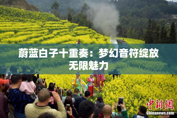蔚蓝白子十重奏：梦幻音符绽放无限魅力