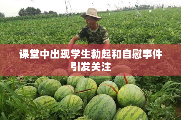 课堂中出现学生勃起和自慰事件引发关注